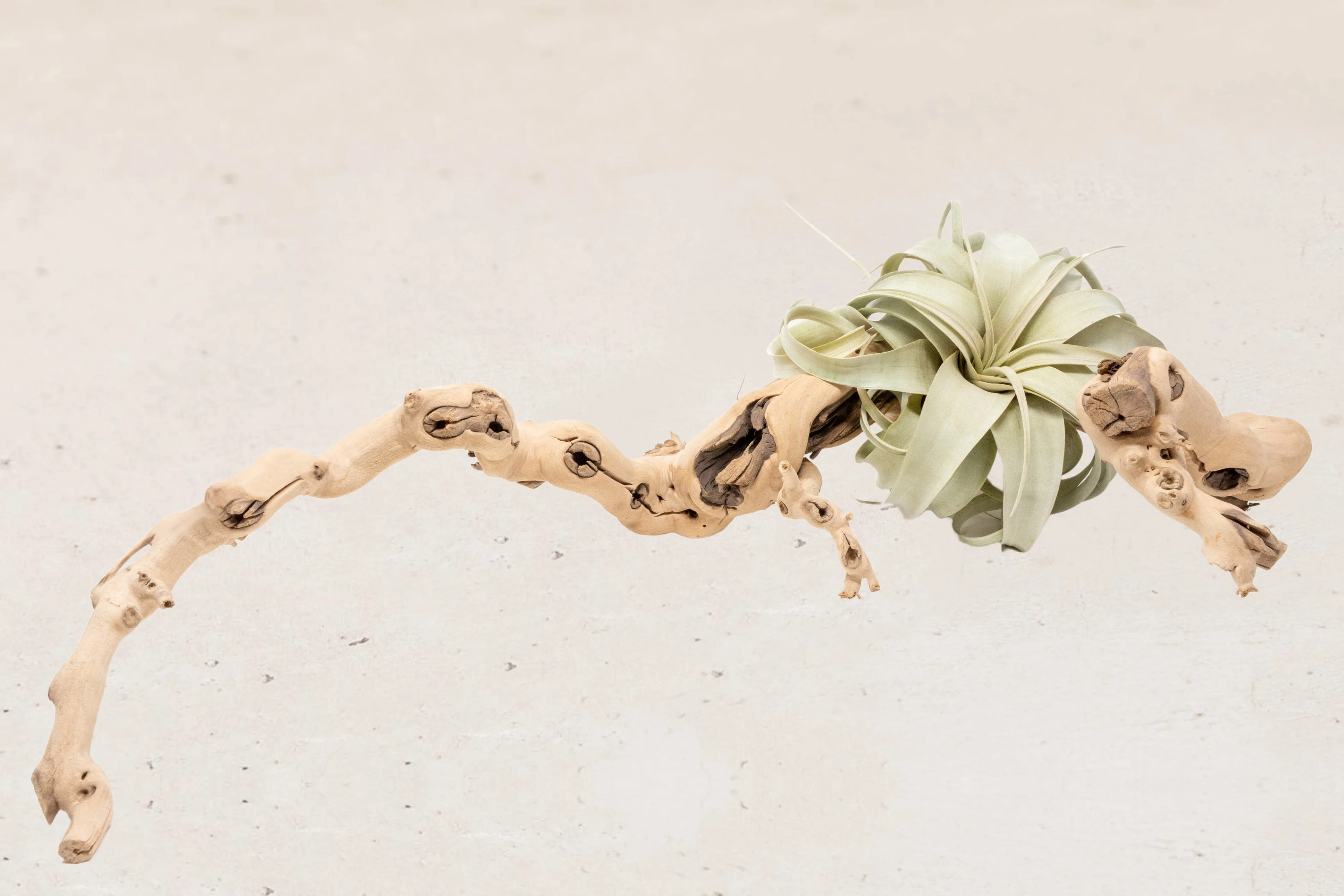 Wholesale Wood Displays